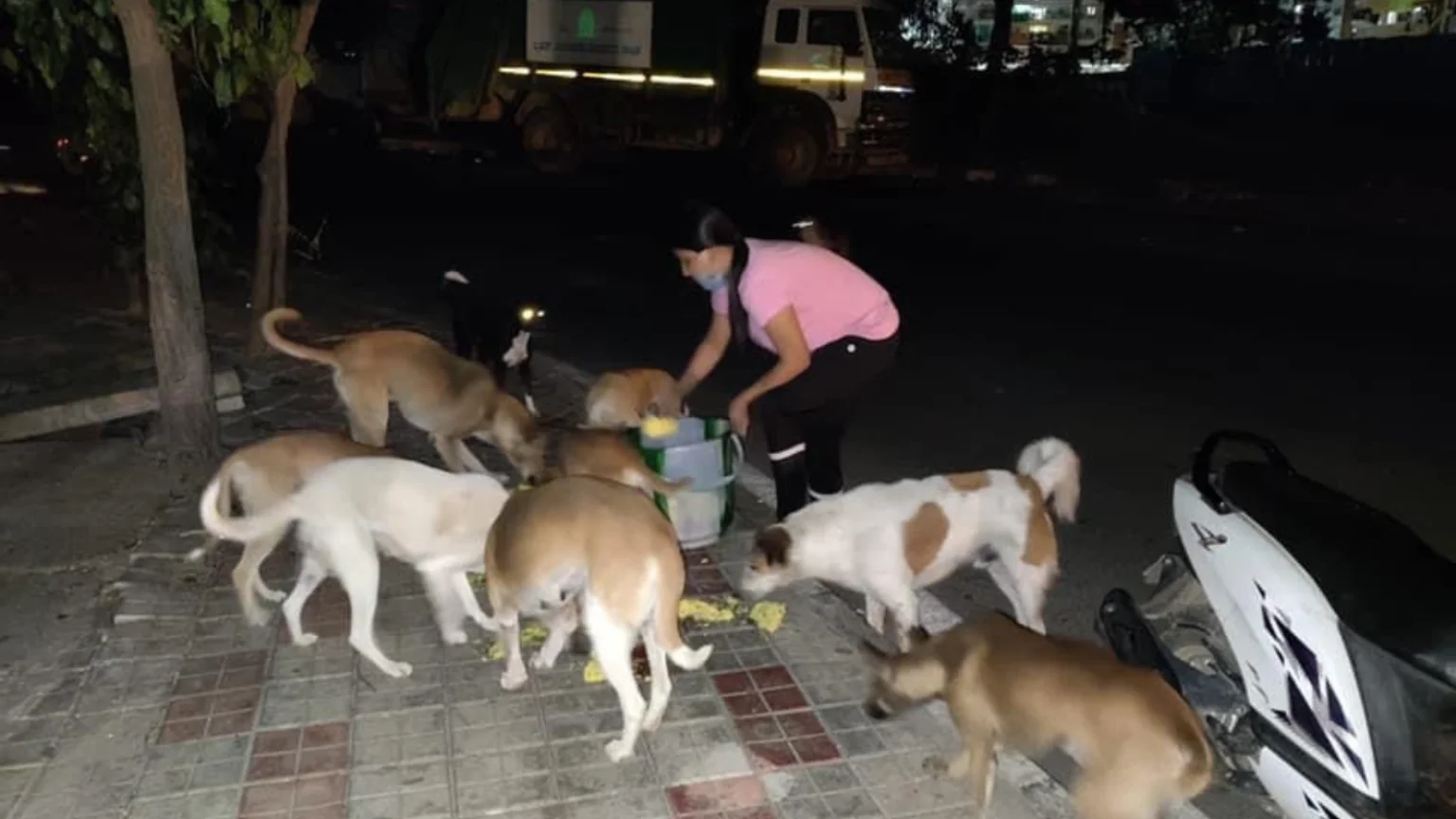 Children sharing food