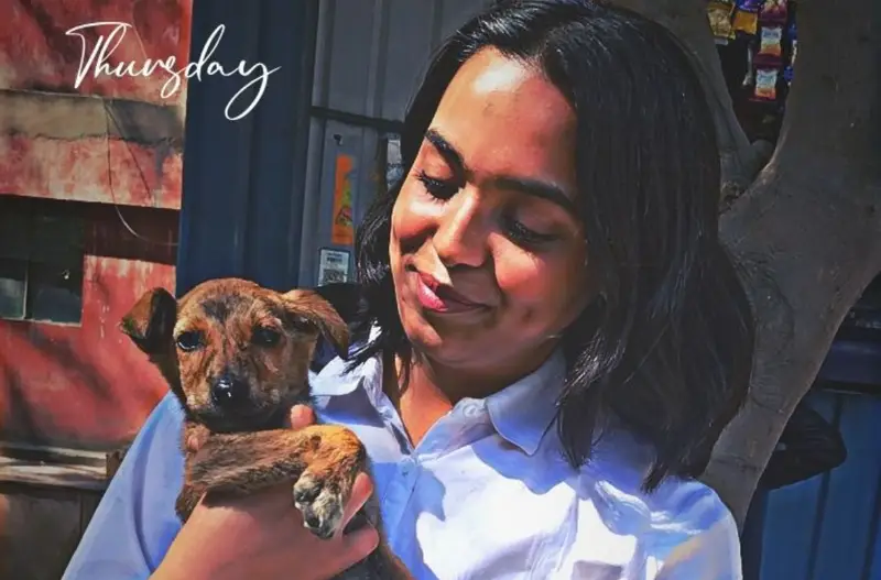A volunteer caring for a rescued dog